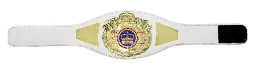 *NEW* PROICON CHAMPIONSHIP BELT/G/BLUGEM - AVAILABLE IN 6+ COLOURS